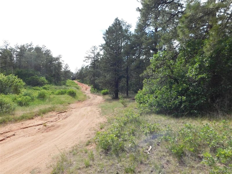 8202 Bannock Dr, Larkspur, CO 80118