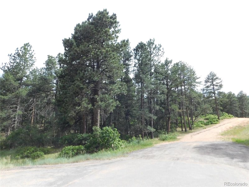 4480 Delaware Dr, Larkspur, CO 80118