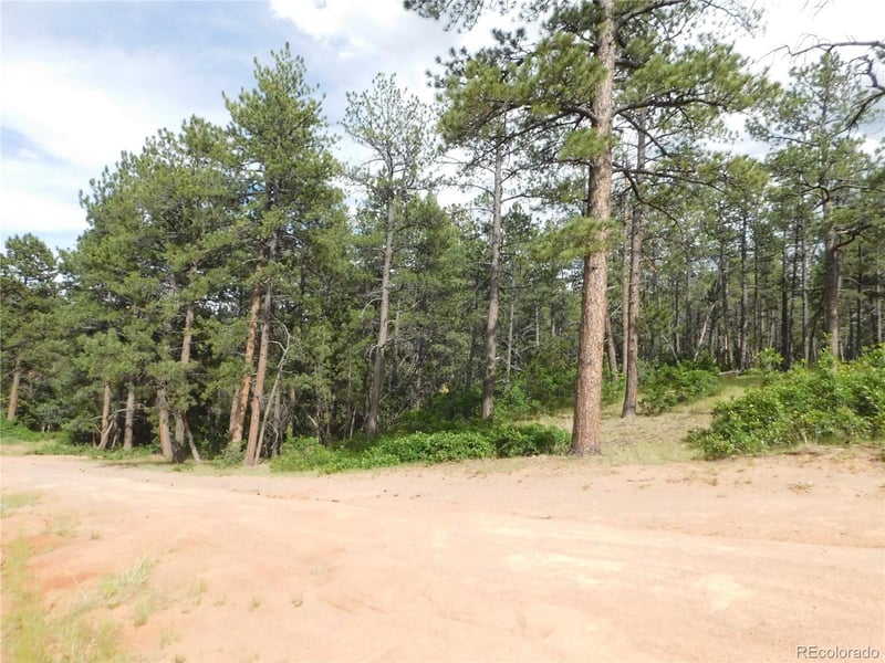 4480 Delaware Dr, Larkspur, CO 80118