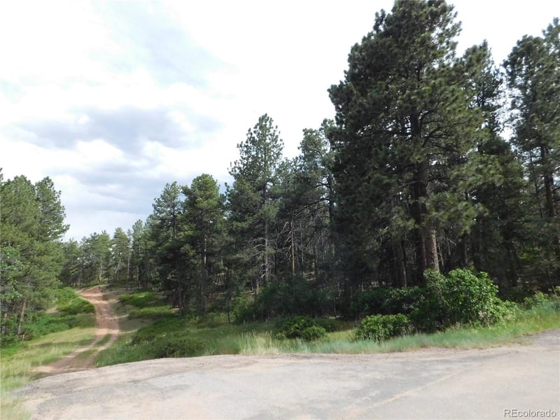 4480 Delaware Dr, Larkspur, CO 80118