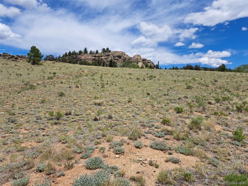 149 Mustang Rd, Jefferson, CO 80456