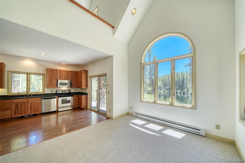 185 Lotus Lon Dr, Leadville, CO 80461