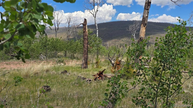 Lot 1617 Kopf Ln Lot 1617, Fort Garland, CO 81133