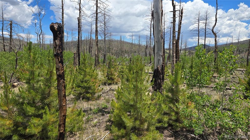 Lot 1617 Kopf Ln Lot 1617, Fort Garland, CO 81133