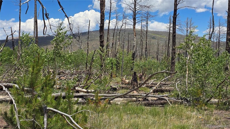 Lot 1617 Kopf Ln Lot 1617, Fort Garland, CO 81133