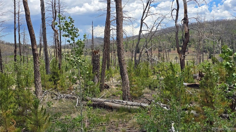 Lot 1617 Kopf Ln Lot 1617, Fort Garland, CO 81133