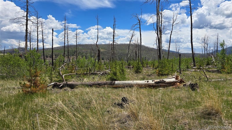 Lot 1617 Kopf Ln Lot 1617, Fort Garland, CO 81133