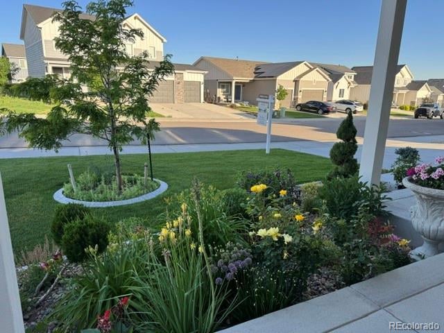 1550 S Gardenia Dr, Milliken, CO 80543