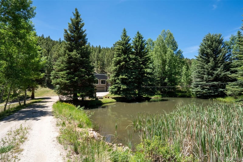 384 Brookside Dr, Bailey, CO 80421