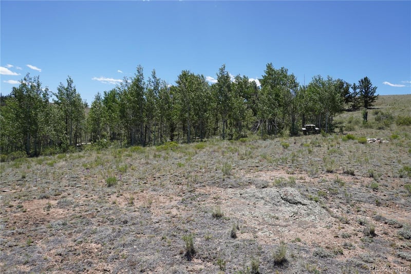 620 Arland Rd, Como, CO 80456