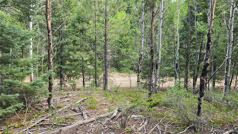 Lot 6474 Malcolm Rd Lot 6474, San Luis, CO 81152