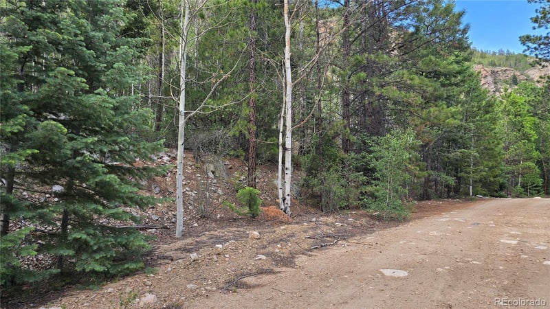 Lot 6474 Malcolm Rd Lot 6474, San Luis, CO 81152