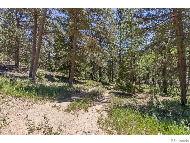 0 Magnolia Dr, Nederland, CO 80466