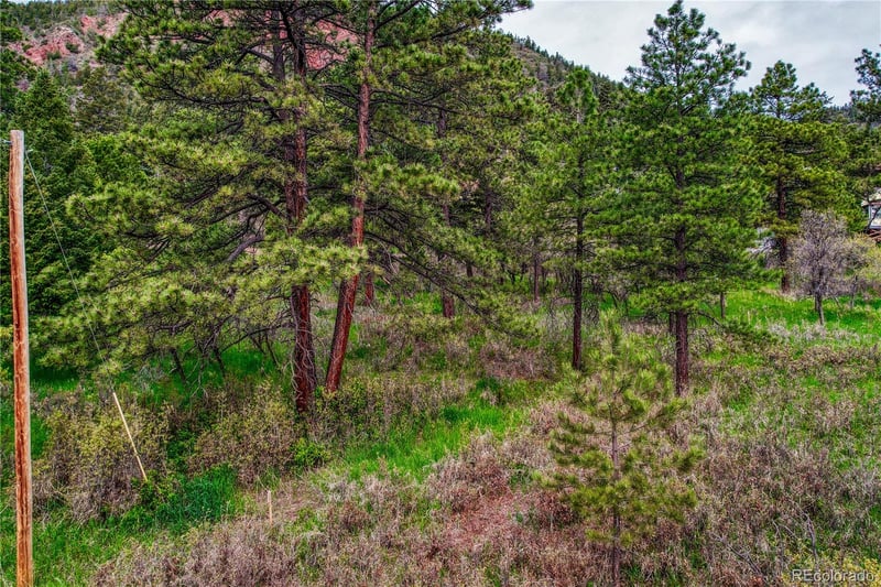 000 Buena Vista Ave, Palmer Lake, CO 80133