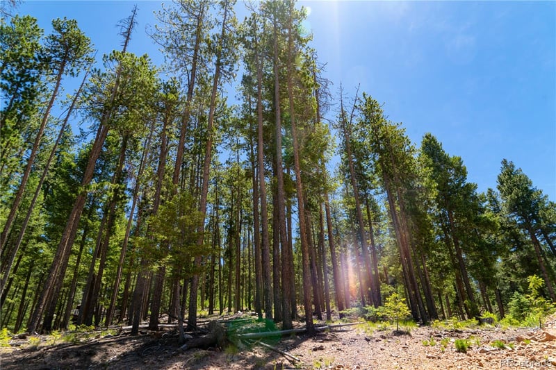 6814 Lynx Lair Rd Lot 3-8, Evergreen, CO 80439