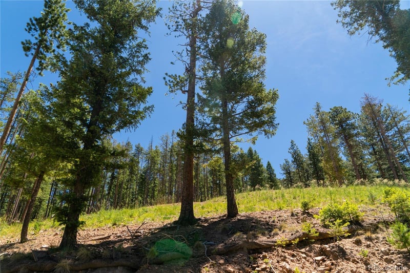 6814 Lynx Lair Rd Lot 3-8, Evergreen, CO 80439
