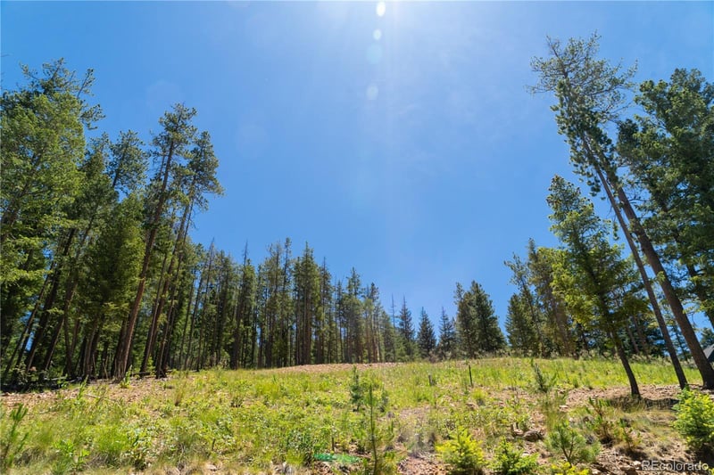 6814 Lynx Lair Rd Lot 3-8, Evergreen, CO 80439