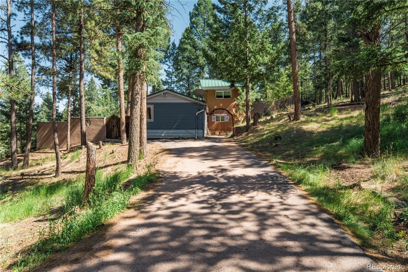 196 Summer Haven Dr, Woodland Park, CO 80863