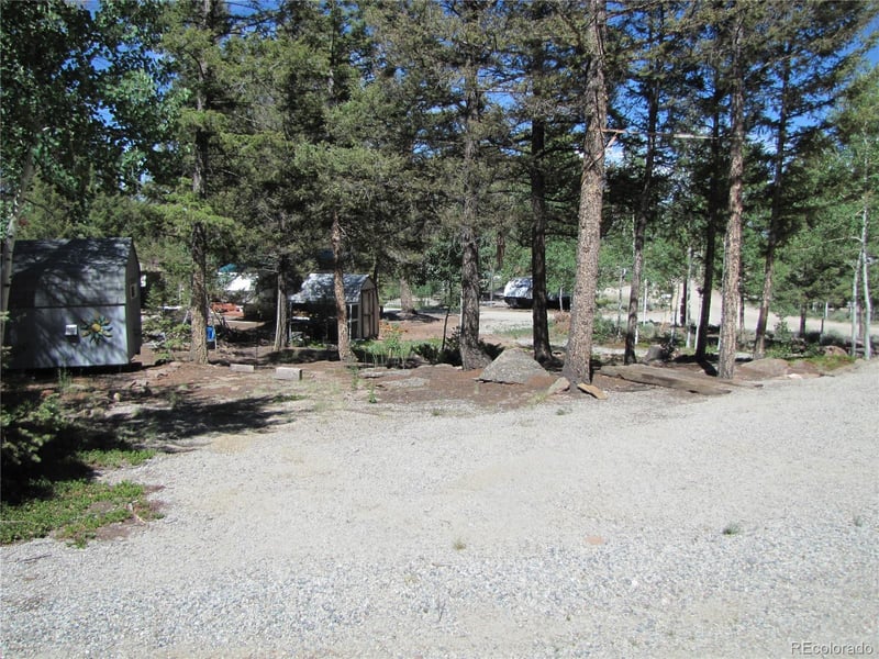 251 Pullman Loop, Hartsel, CO 80449
