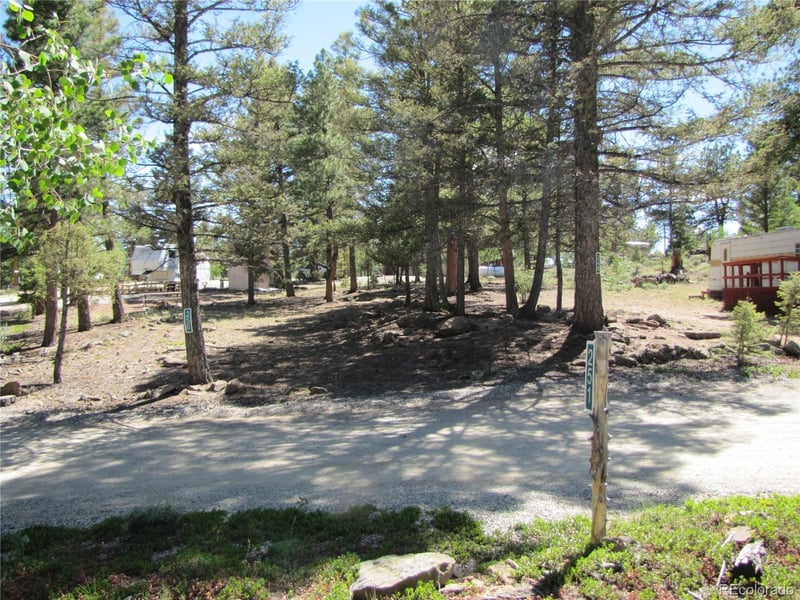 251 Pullman Loop, Hartsel, CO 80449