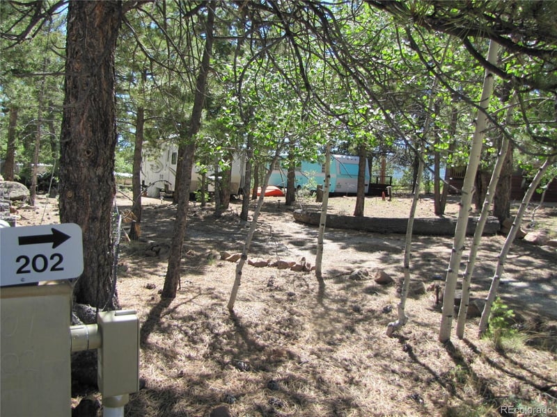 19 Lantern Loop, Hartsel, CO 80449