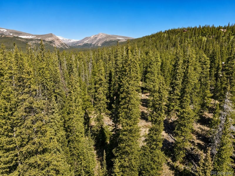000 Guymard Rd Lot 53, Fairplay, CO 80440