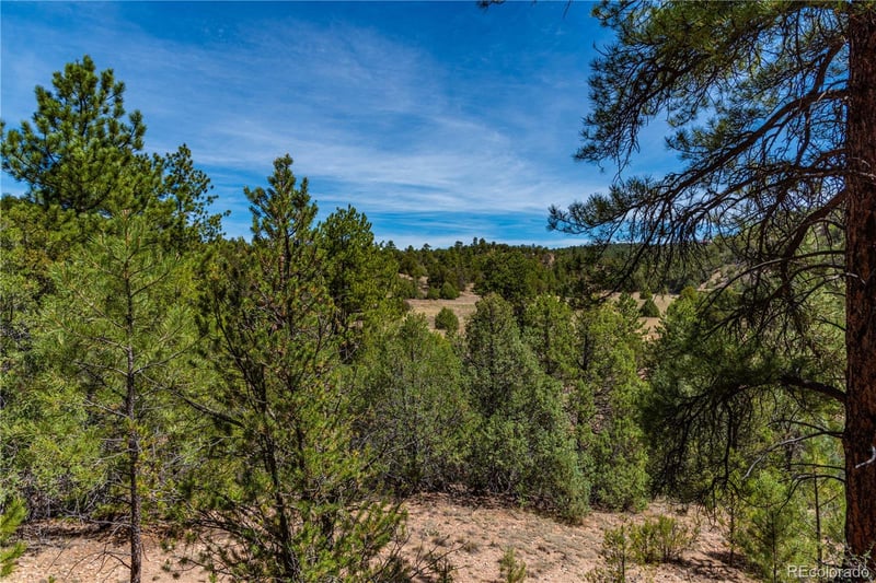 TBD L Arnold Dr, Cotopaxi, CO 81223