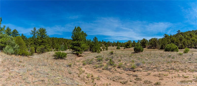 TBD L Arnold Dr, Cotopaxi, CO 81223