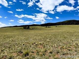 25 Sulky Ct Lot 1118, Hartsel, CO 80449