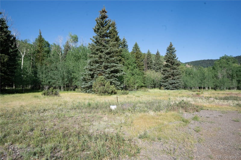 42 W Peregrine, Antonito, CO 81120