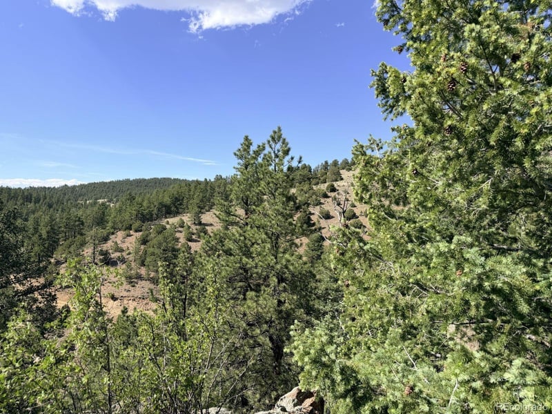 000 Schulze Ranch Rd, Westcliffe, CO 81252