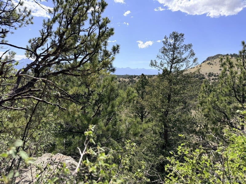 000 Schulze Ranch Rd, Westcliffe, CO 81252