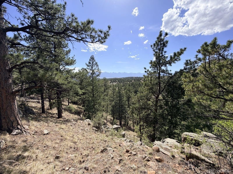 000 Schulze Ranch Rd, Westcliffe, CO 81252