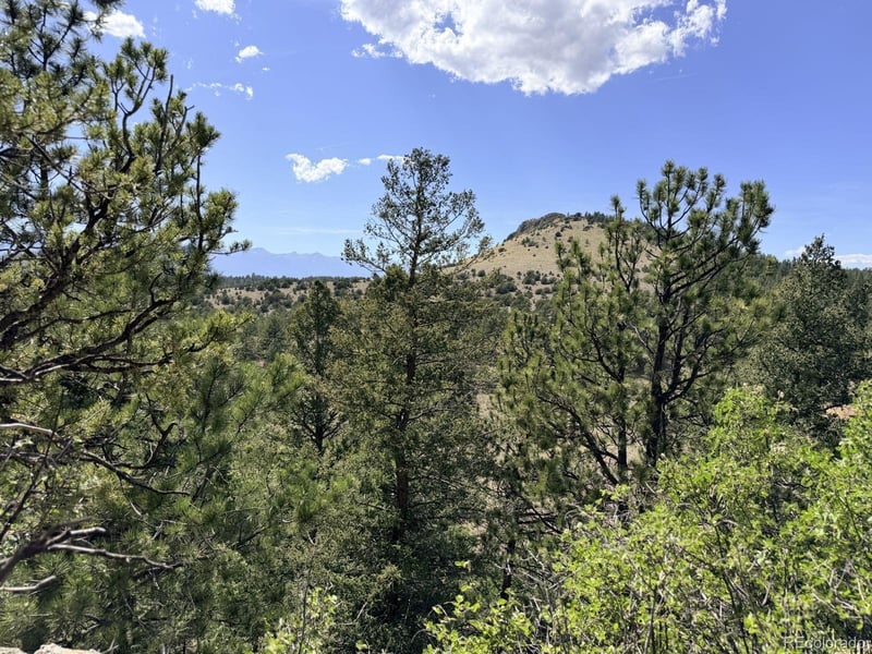 000 Schulze Ranch Rd, Westcliffe, CO 81252
