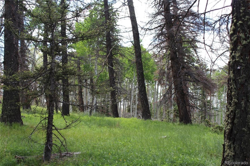 1650 Spruce Rd, Cimarron, CO 81220