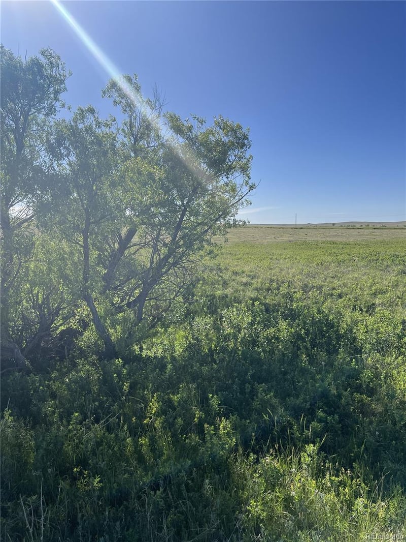 27933 Private Road 139, Simla, CO 80835