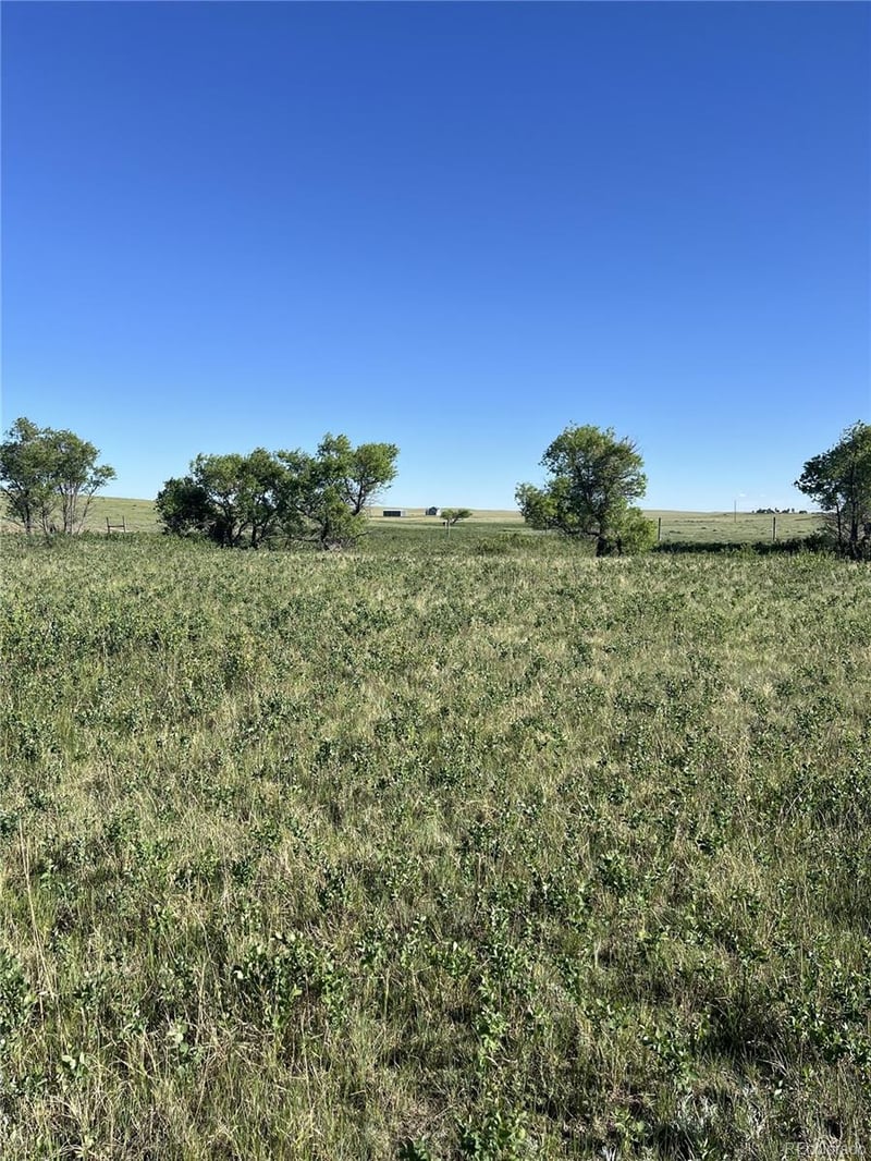 27933 Private Road 139, Simla, CO 80835