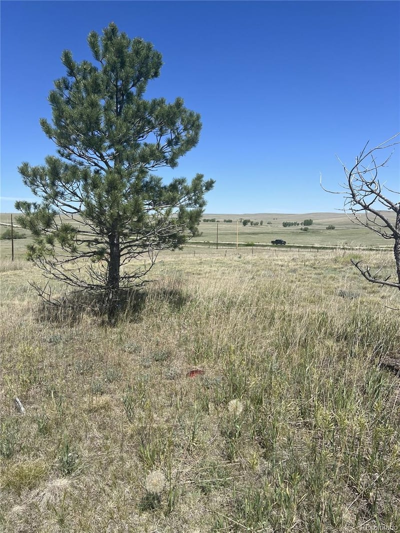 27933 Private Road 139, Simla, CO 80835