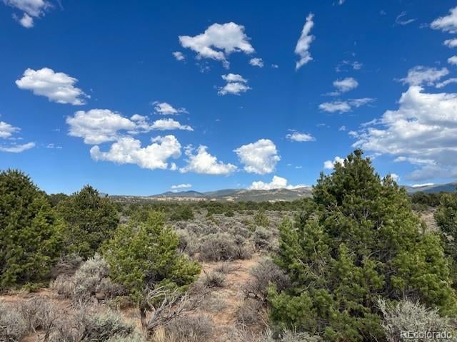 Lot 989 Bateman Rd, Fort Garland, CO 81133