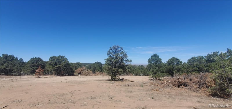 Lot 1321 Michaels Rd Lot 1321, San Luis, CO 81152