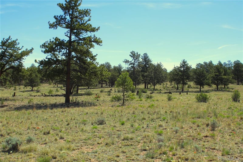 31572 Highway 9, Fairplay, CO 80440