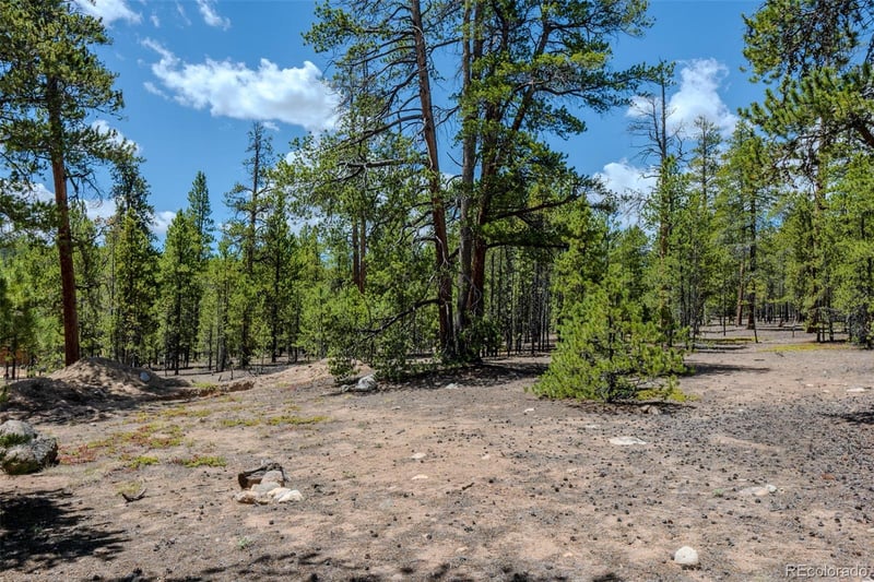 294 Peak View Dr, Twin Lakes, CO 80461