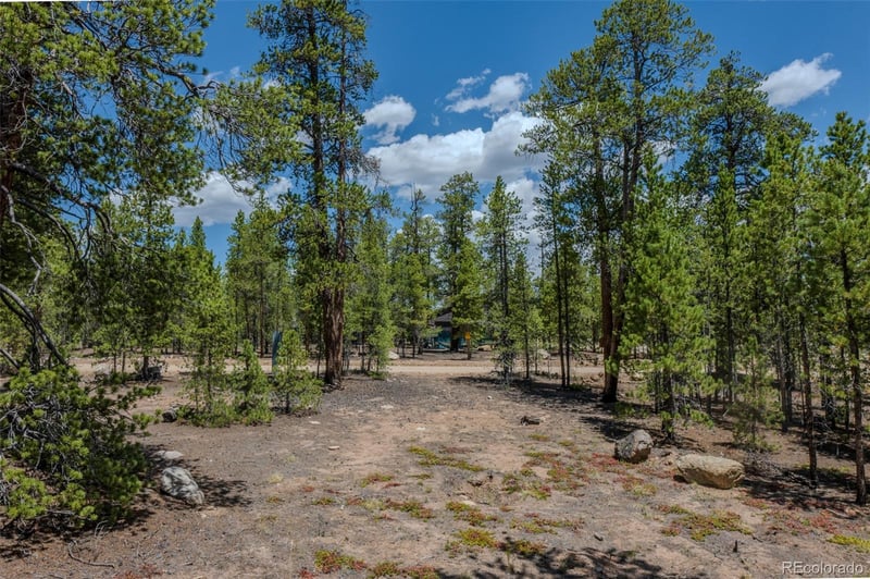 294 Peak View Dr, Twin Lakes, CO 80461