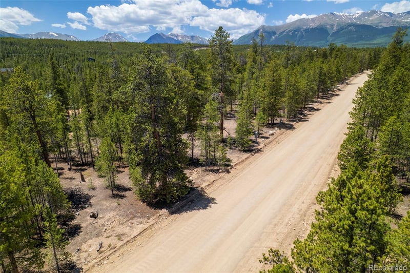 294 Peak View Dr, Twin Lakes, CO 80461