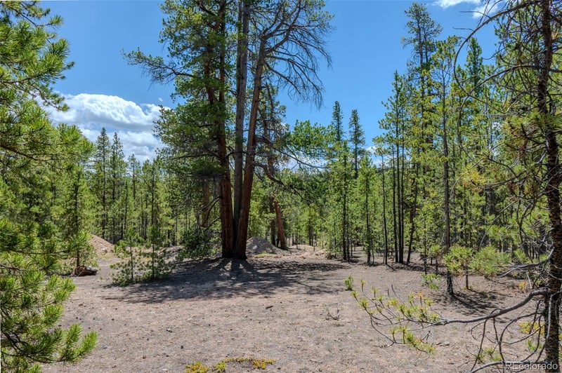 294 Peak View Dr, Twin Lakes, CO 80461