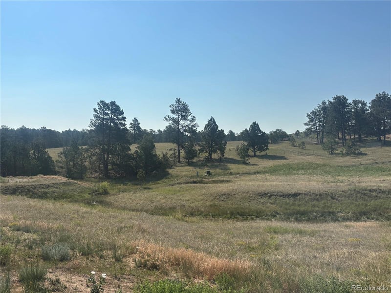 32147 Waylongood Point, Kiowa, CO 80117