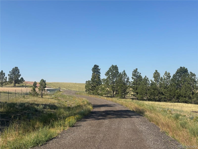 32147 Waylongood Point, Kiowa, CO 80117