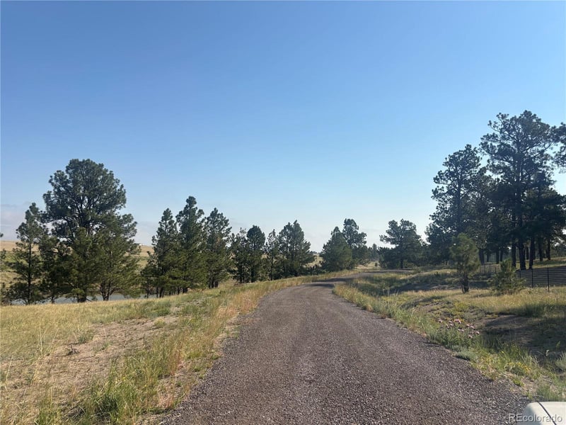 32147 Waylongood Point, Kiowa, CO 80117