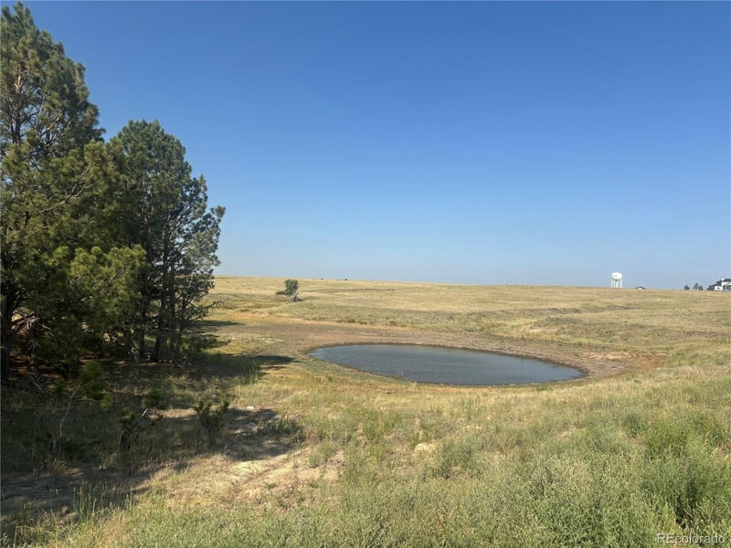 32147 Waylongood Point, Kiowa, CO 80117