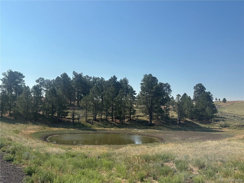 32147 Waylongood Point, Kiowa, CO 80117